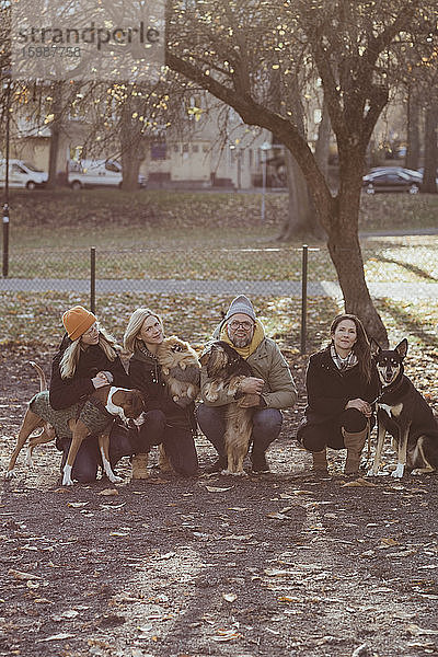 Porträt eines Mannes und einer Frau  die im Herbst mit Hunden im Park kauern