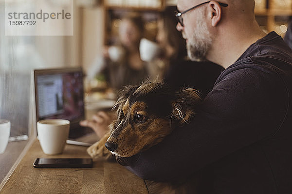 Hund ruht sich aus  während der Tierbesitzer seinen Laptop im Café benutzt