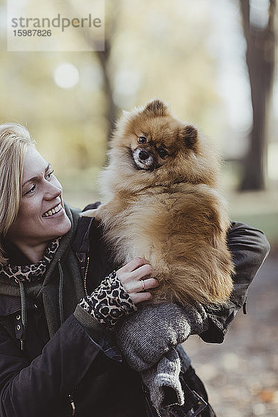 Lächelnde Frau spielt  während sie einen flauschigen pommerschen Hund im Park umarmt