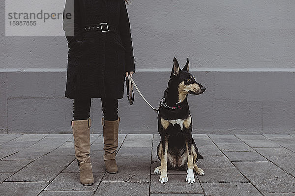 Niedriger Teil einer Frau mit Hund auf einem Fußweg in der Stadt