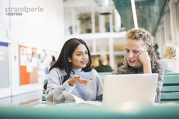 Junge Studentinnen diskutieren während des Studiums in der Mensa der Universität