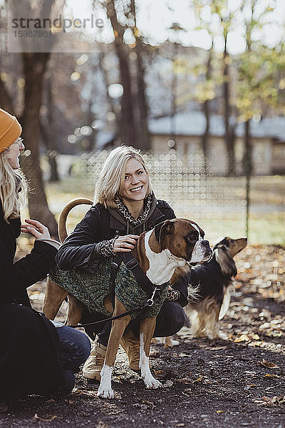 Porträt einer lächelnden blonden Frau  die von einem Freund mit Hunden im Park kauert