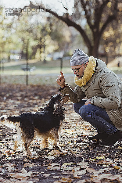 Mann in voller Länge kauert  während er sich im Herbst im Park mit dem Hund unterhält