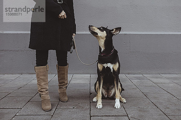 Hund schaut zu weiblicher Tierhalterin auf  die auf einem Fußweg in der Stadt steht