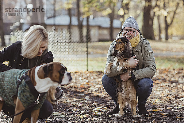Lächelnder Mann kauert  während er ein Haustier umarmt und eine Frau mit Boxerhund anschaut