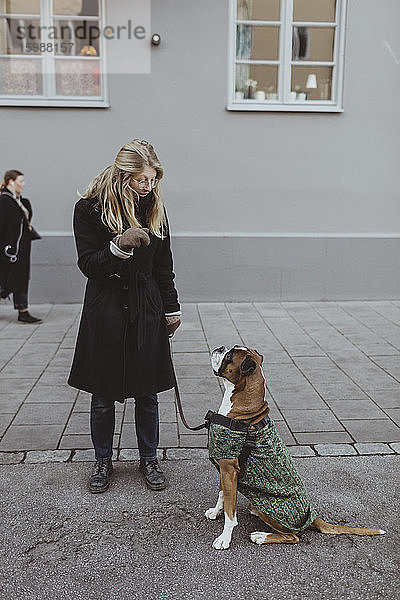Junge Frau in voller Länge mit Boxerhund gegen Gebäude in der Stadt stehend