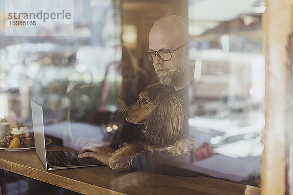 Kahlköpfiger Mann mit Laptop  während er mit Hund im Café durch ein Fenster gesehen wird