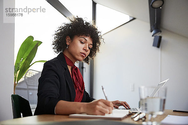 Selbstbewusste junge Finanzberaterin schreibt Tagebuch  während sie mit Laptop am Schreibtisch im Büro sitzt