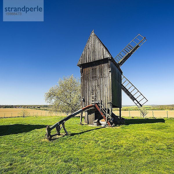 Bockwindmühle Kahlwinkel  Burgenlandkreis  Sachsen-Anhalt  Deutschland  Europa