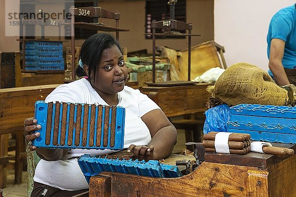 Arbeiterin zeigt Zigarren  Zigarrenfabrik in Remedios  Kuba  Mittelamerika