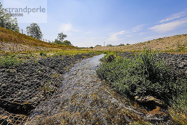 Renaturiertes Fließgewässer  der Hellbach gehört zum Flusssystem der Emscher  war vorher ein offener  oberirdischer Schmutzwasserkanal  Emscherumbau  Recklinghausen  Ruhrgebiet  Nordrhein-Westfalen  Deutschland  Europa
