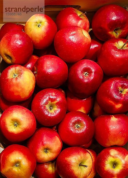 Rote Äpfel liegen in einer Holzkiste  Deutschland  Europa