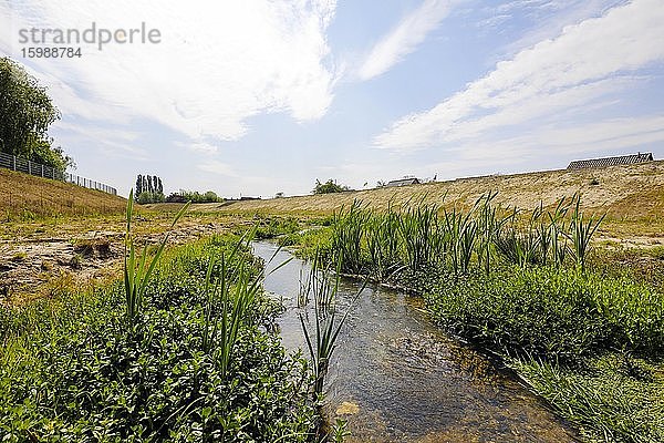 Renaturiertes Fließgewässer  der Hellbach gehört zum Flusssystem der Emscher  war vorher ein offener  oberirdischer Schmutzwasserkanal  Emscherumbau  Recklinghausen  Ruhrgebiet  Nordrhein-Westfalen  Deutschland  Europa