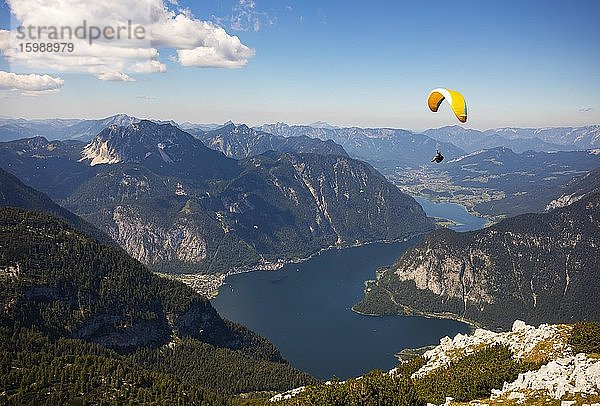 Paraglider am Krippenstein mit Hallstättersee  Hallstatt  Salzkammergut  Oberösterreich  Österreich  Europa