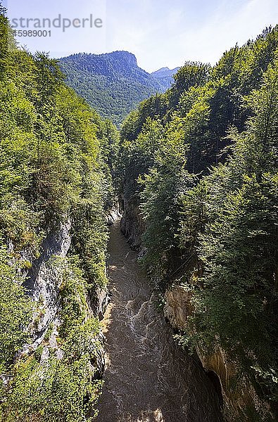 Salzachöfen  Salzachklamm  Fluss Salzach  Salzburger Land  Land Salzburg  Österreich  Europa