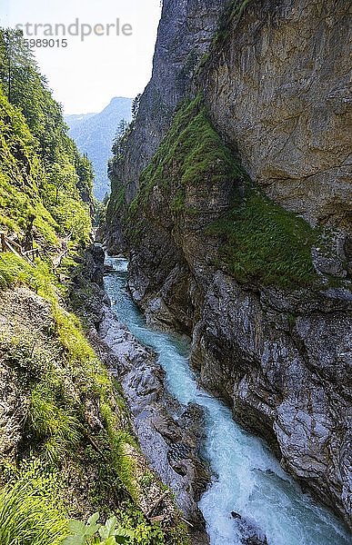 Steiganlage in den Lammerklamm  Lammeröfen  Fluss Lammer  Scheffau  Tennengebirge  Salzburger Land  Land Salzburg  Österreich  Europa