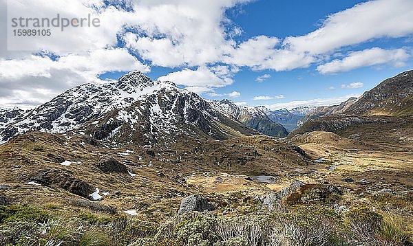 Ausblick in das Route Burn Tal mit Bach und Berg Mount Xenicus  Routeburn Track  Mount Aspiring National Park  Westland District  Westküste  Südinsel  Neuseeland  Ozeanien