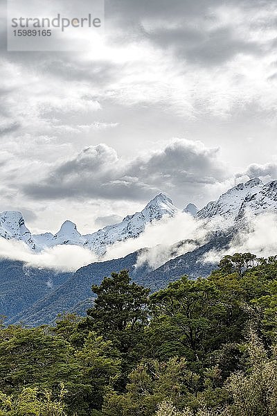 Ausblick auf schneebedeckte Bergkette mit Wolken  Aussichtspunkt Pop's View Lookout  Fiordland Nationalpark  Te Anau  Southland  Südinsel  Neuseeland  Ozeanien