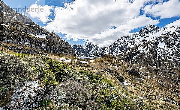 Ausblick auf den See Lake Harris  Conical Hill  Routeburn Track  Mount Aspiring National Park  Westland District  Westküste  Südinsel  Neuseelandl