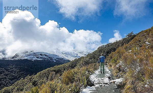 Wanderer auf Wanderweg zum Key Summit  Routeburn Track  Fiordland Nationalpark  Te Anau  Southland  Südinsel  Neuseeland  Ozeanien