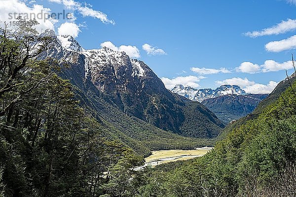 Blick in das Flusstal  Routeburn Track  hinten Humboldt Mountains  Westland District  Westküste  Südinsel  Neuseeland  Ozeanien