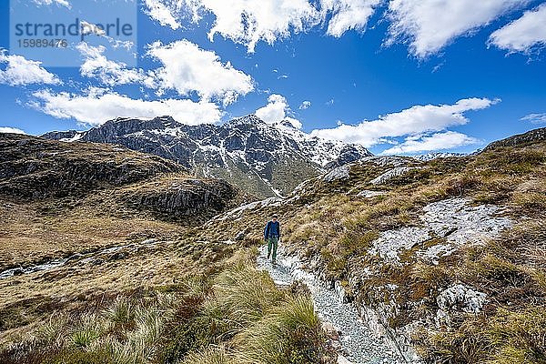 Wanderer auf dem Wanderweg Routeburn Track  Mount Aspiring National Park  Westland District  Westküste  Südinsel