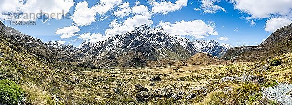 Gebirgslandschaft unterhalb des Lake Harris  Berg Mount Xenicus  Routeburn Track  Mount Aspiring National Park  Westland District  Westküste  Südinse