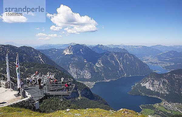 Blick vom Aussichtspunkt Five Finger zum Hallstättersee  Krippenstein  Obertraun  Hallstatt  Salzkammergut  Oberösterreich  Österreich  Europa