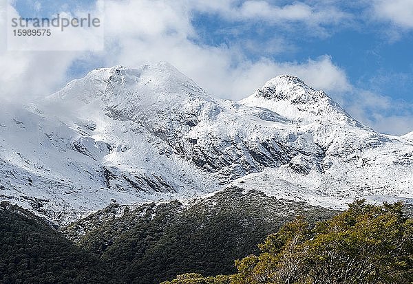 Schneebedeckte Berge  Ausblick vom Key Summit  Fiordland Nationalpark  Te Anau  Southland  Südinsel  Neuseeland  Ozeanien