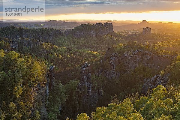 Blick vom Carolafelsen über Elbsandsteingebirge mit Schrammsteinen  Falkenstein  Königstein und Lilienstein  Abendrot im Nationalpark Sächsische Schweiz  Sachsen  Deutschland  Europa