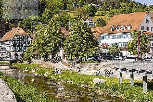 Häuser in der Altstadt  Fluss Schiltach  Schiltach  Schwarzwald  Baden-Württemberg  Deutschland  Europa