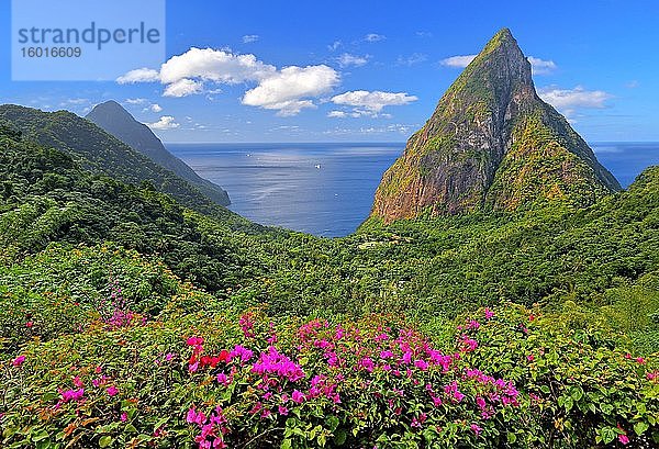 Landschaft mit den beiden Pitons  Gros Piton 770m und Petit Piton 743m  Soufriere  St. Lucia  Kleine Antillen  Westindische Inseln  Karibik  Mittelamerika