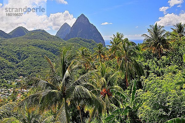 Tropen-Landschaft mit den beiden Pitons  Gros Piton 770m und Petit Piton 743m  Soufriere  St. Lucia  Kleine Antillen  Westindische Inseln  Karibik  Mittelamerika