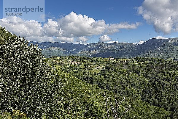 Typische Berglandschaft in der Ardeche  Frankreich  Europa