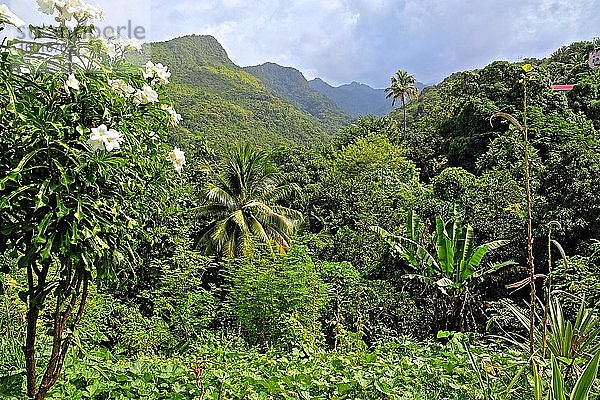 Tropische Gebirgslandschaft beim Fischerdorf Canaries  St. Lucia  Kleine Antillen  Westindische Inseln  Karibik  Mittelamerika