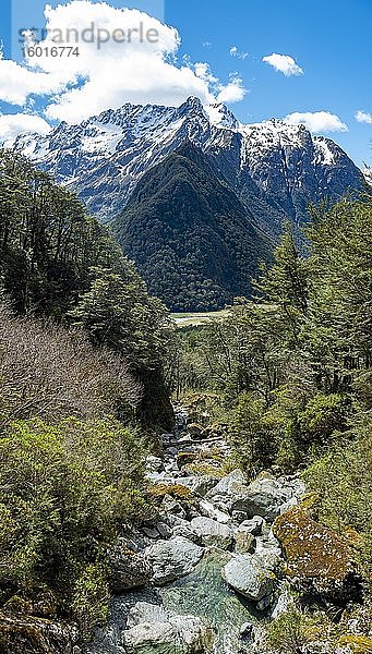 Gebirgsbach  Route Burn  Routeburn Track  Mount Aspiring National Park  Westland District  Westküste  Südinsel  Neuseeland  Ozeanien