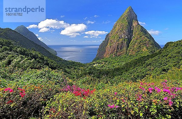 Landschaft mit den beiden Pitons  Gros Piton 770m und Petit Piton 743m  Soufriere  St. Lucia  Kleine Antillen  Westindische Inseln  Karibik  Mittelamerika