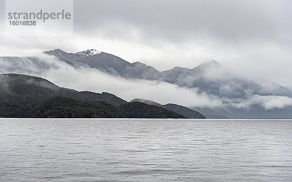 Wolkenverhangene Berge  See Te Anau  Südinsel  Neuseeland  Ozeanien