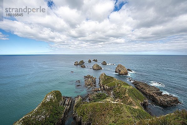 Landzunge mit Felsen  Nugget Point  Kaka Point  Catlins  Südinsel  Neuseeland  Ozeanien