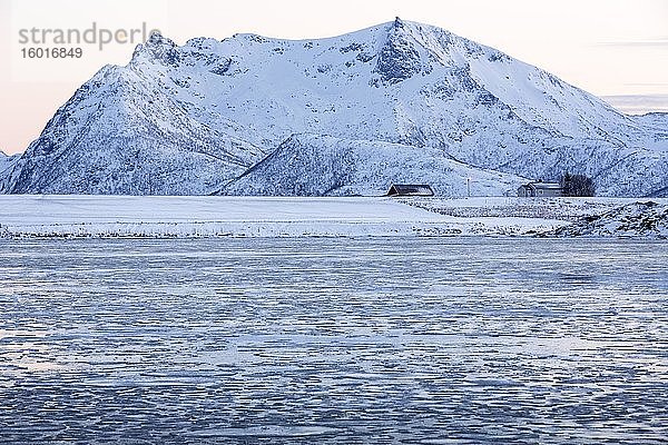 Winterlandschaft auf den Lofoten  Norwegen  Europa