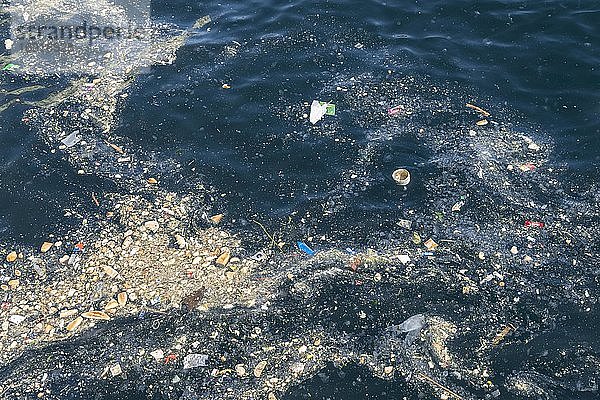 Müllteppich treibt auf der Wasseroberfläche  Goldenes Horn  Istanbul  Türkei  Asien