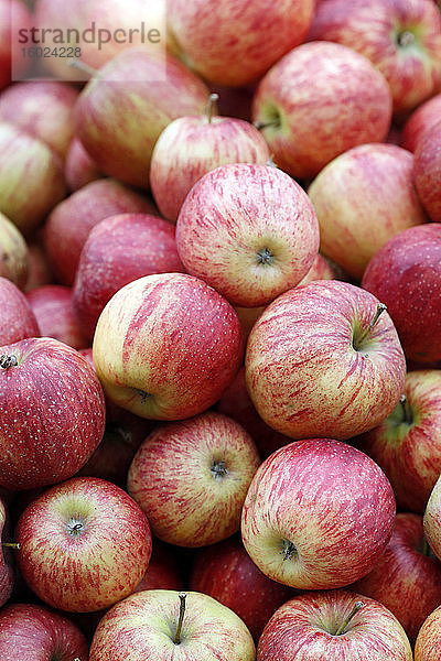 Bio-Äpfel zum Verkauf auf dem Markt