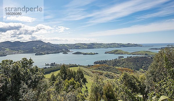 Ausblick auf Otago Halbinsel vom Park des Larnach Castle  Dunedin  Otago Halbinsel  Südinsel  Neuseeland  Ozeanien