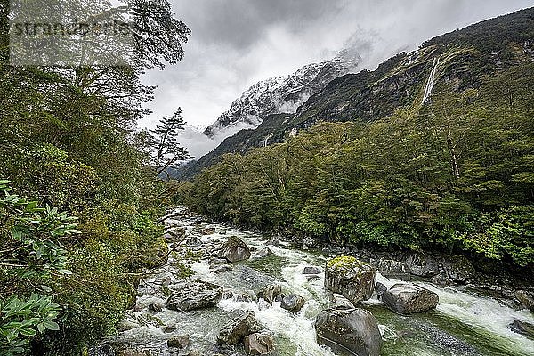 Hollyford Fluss mit verschneiten Bergen  Whakatipu Ka Tuka  Fiordland Nationalpark  Te Anau  Southland  Südinsel  Neuseeland  Ozeanien