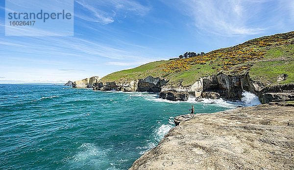 Angler an der Küste  Felsige Steilküste aus Sandsteinfelsen  Tunnel Beach  Otago  Südinsel  Neuseeland  Ozeanien