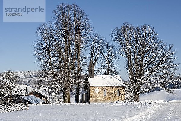 Lindenkapelle bei Zell am Moos  im Winter bei Schnee  Salzkammergut  Oberösterreich  Österreich  Europa