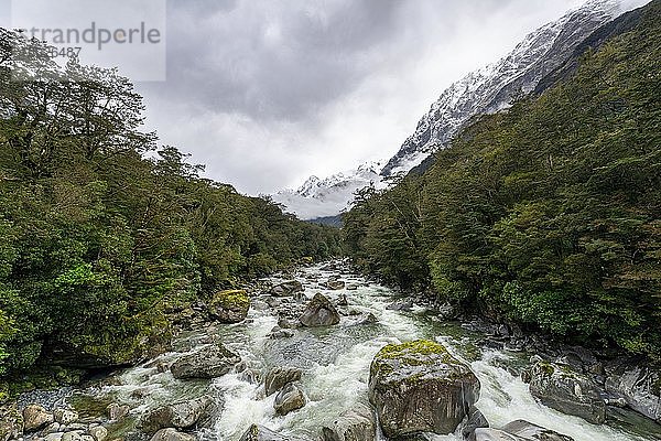 Hollyford Fluss mit verschneiten Bergen  Whakatipu Ka Tuka  Fiordland Nationalpark  Te Anau  Southland  Südinsel  Neuseeland  Ozeanien