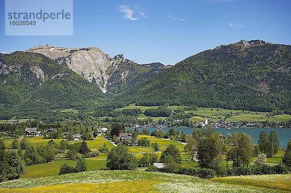 Blick zum Wolfgangsee Sankt Wolfgang und Schafberg  im Frühling  Salzkammergut  Österreich  Europa
