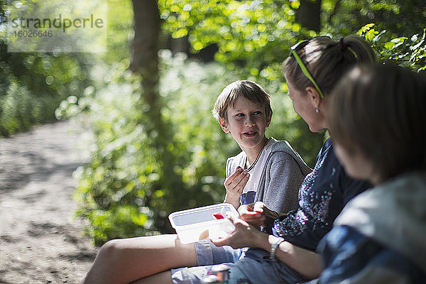 Mutter und Söhne genießen Imbiss im sonnigen Park