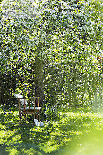 Stuhl unter einem weiß blühenden Baum in einem sonnigen idyllischen Garten